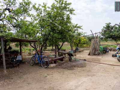 �Un tempo erano molto di pi� e tutti gli abitanti della zona venivano da noi a prendere le uova fresche  - ci dice uno degli anziani �. Avevamo anche delle pecore: potevamo definirci una piccola fattoria. Anche se qui continuiamo a coltivare limoni, fichi e uva con vecchi attrezzi agricoli�